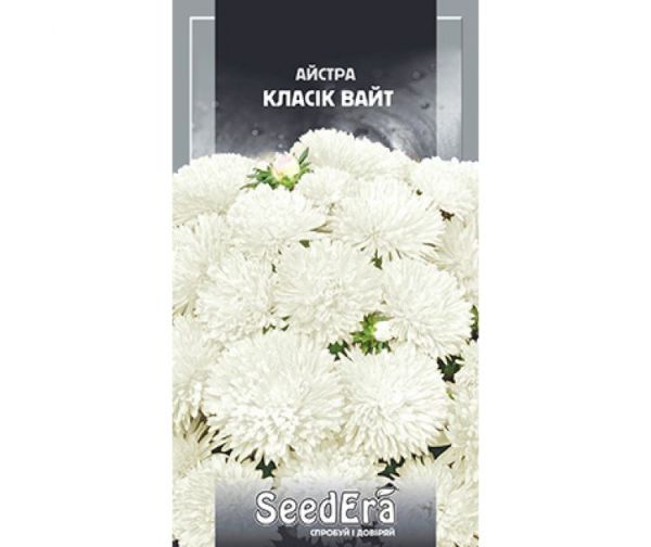 Насіння квітів Айстра Класік Вайт