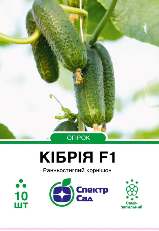 Кібрія F1, насіння огірка 