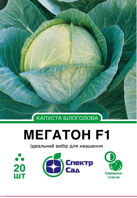 Насіння капусти білокачанної Мегатон F1