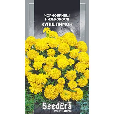 Насіння квітів Чорнобривці Купід лимон