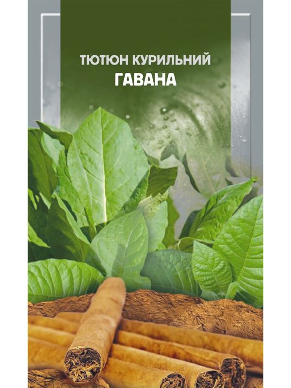 Насіння тютюну курильного Гавана