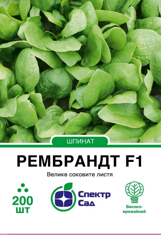 Рембрандт F1, насіння шпинату 