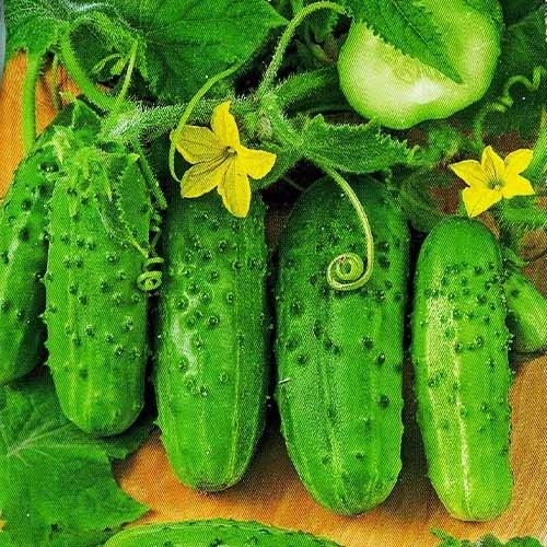 Насіння огірка Роднічок