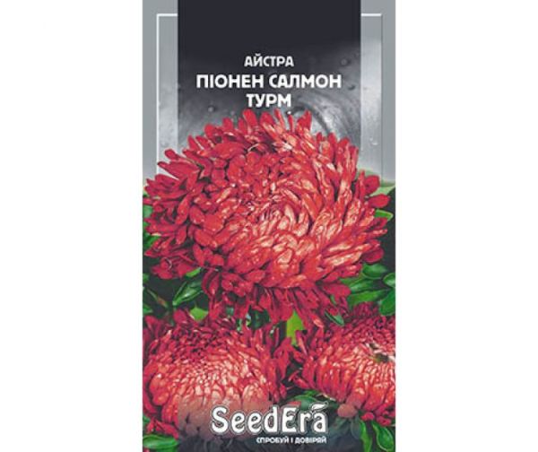Насіння квітів Айстра Піонен Салмон Турм