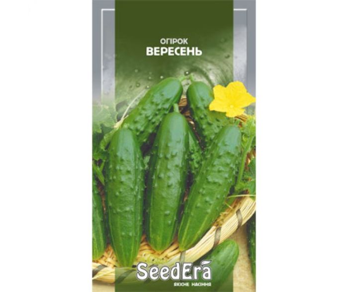 Насіння огірка Вересень SeedEra
