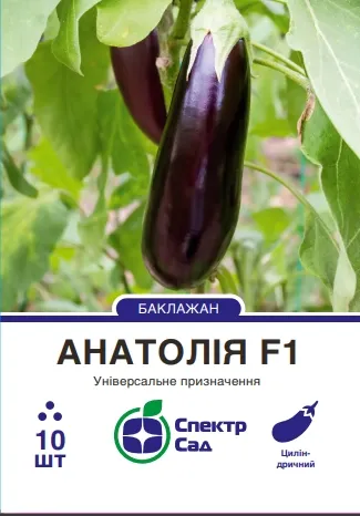 Насіння баклажану Анатолія F1