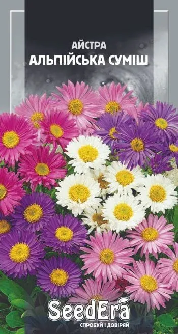 Насіння квітів Айстра Альпійська суміш