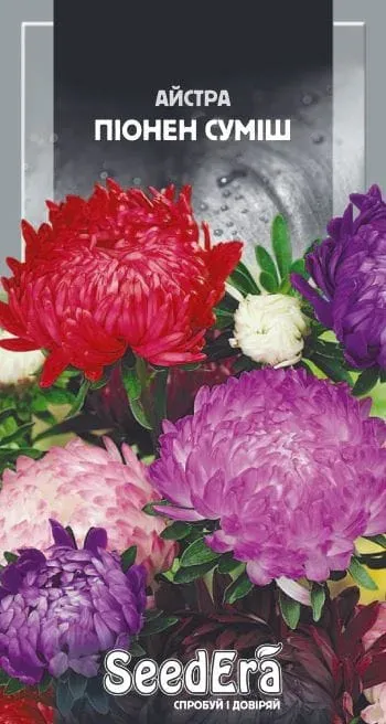 Насіння квітів Айстра Піонен суміш