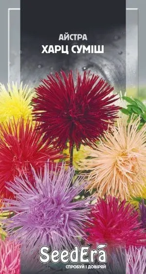 Насіння квітів Айстра Харц суміш