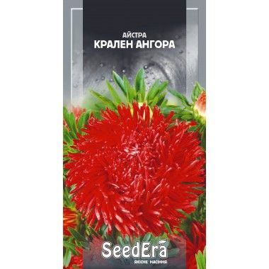 Насіння квітів Айстра Крален Ангора
