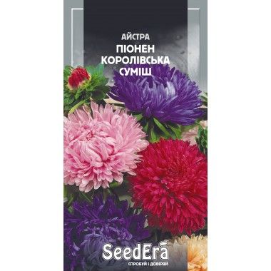 Насіння квітів Айстра Піонен Королівська суміш