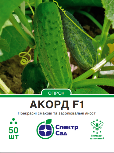 Насіння огірка Акорд F1