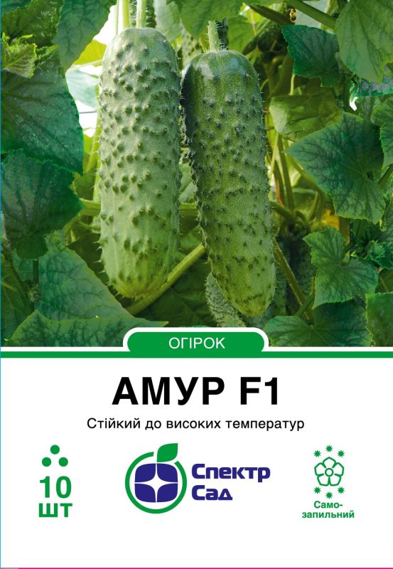 Насіння огірка Амур F1