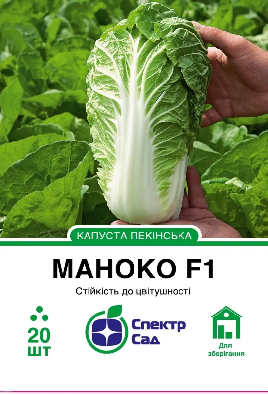 Насіння капусти пекінської Маноко F1
