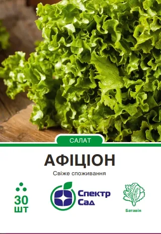 Афіціон, насіння салату 