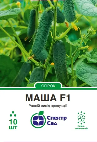 Маша F1, насіння огірка 