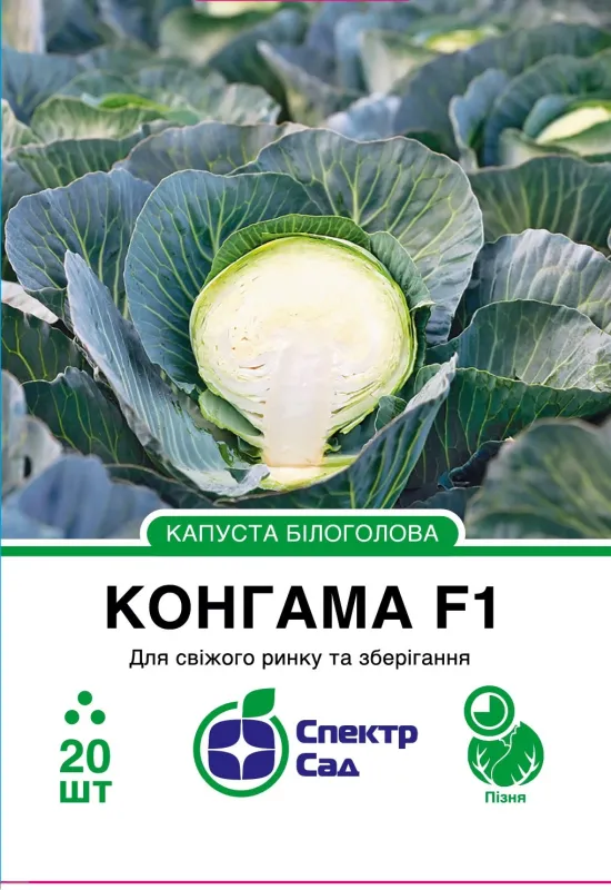 Насіння капусти білокачанної Конгама F1