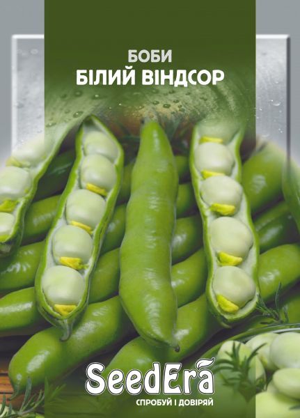 Насіння бобів Білий Віндсор