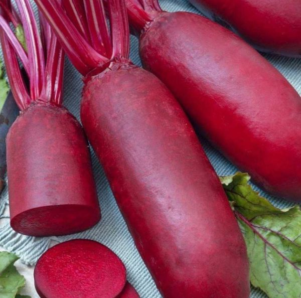 Насіння столового буряка Атоман,