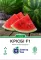 Насіння кавуна Крісбі F1