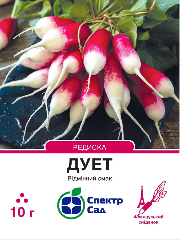 Дует, насіння редиски 