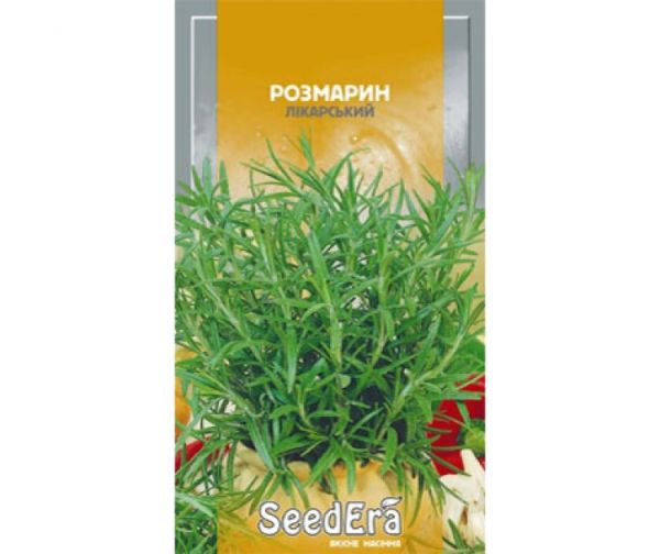 Насіння лікарської культури Розмарин