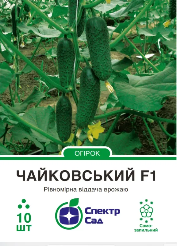 Чайковський F1, насіння огірка самозапильного 