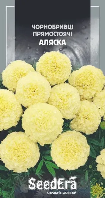 Насіння квітів Чорнобривці прямостоячі Аляска