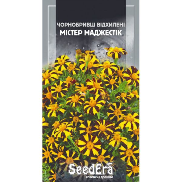 Насіння квітів Чорнобривці відхилені Містер Маджестік