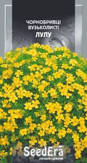 Насіння квітів Чорнобривці вузьколисті Лулу