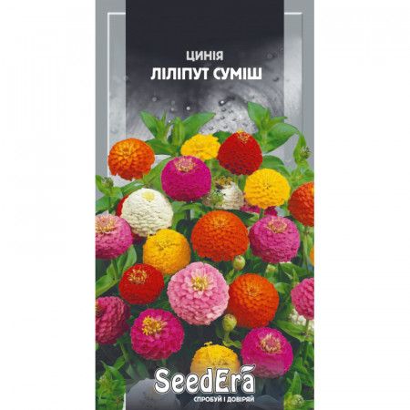 Насіння квітів Цинія Ліліпут суміш