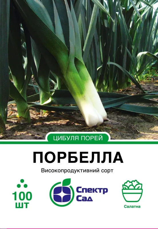 Насіння цибулі Порбелла