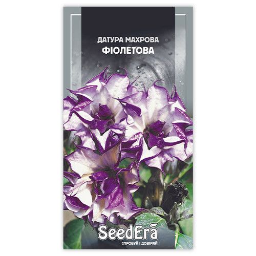 Насіння квітів Датура махрова фіолетова