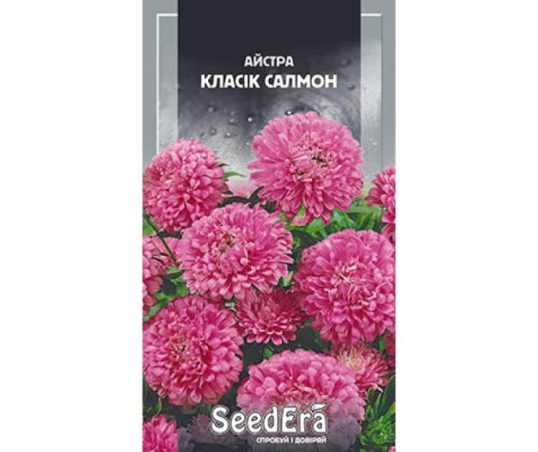 Насіння квітів Айстра Класік Сальмон