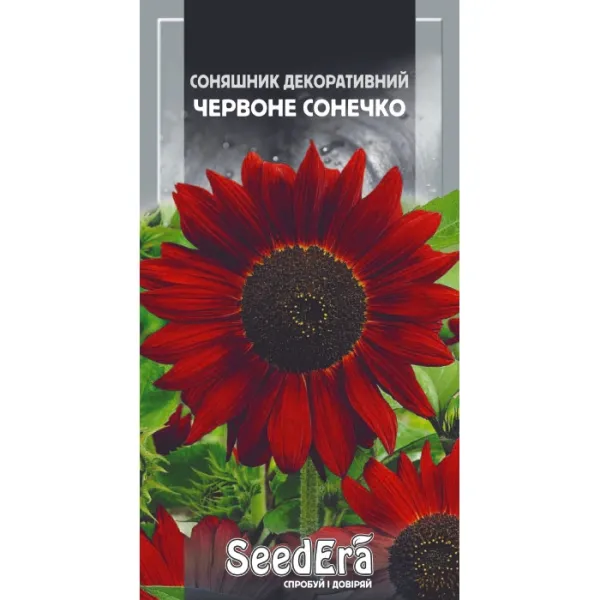 Насіння квітів Соняшник Червоне сонечко