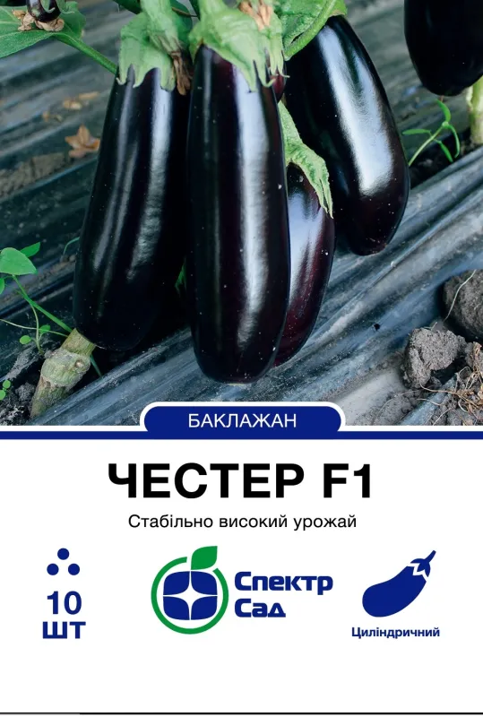 Насіння баклажану Честер F1