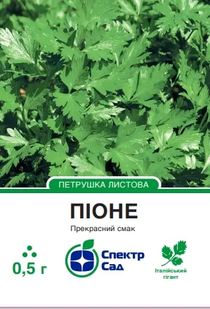 Піоне, насіння петрушки 