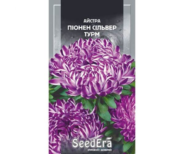 Насіння квітів Айстра Сільвер Турм