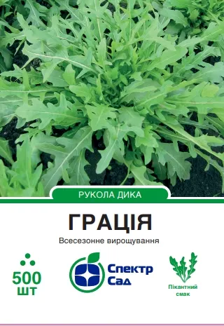Грація, насіння руколи 