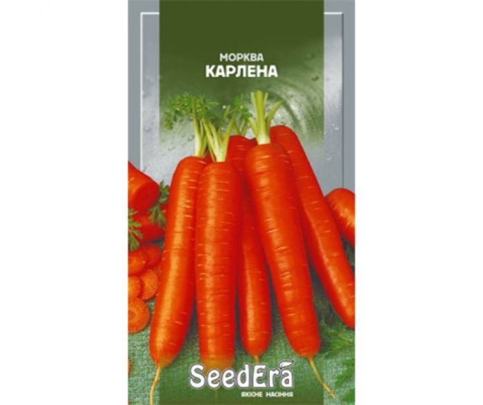 Насіння середньпізньої моркви Карлена