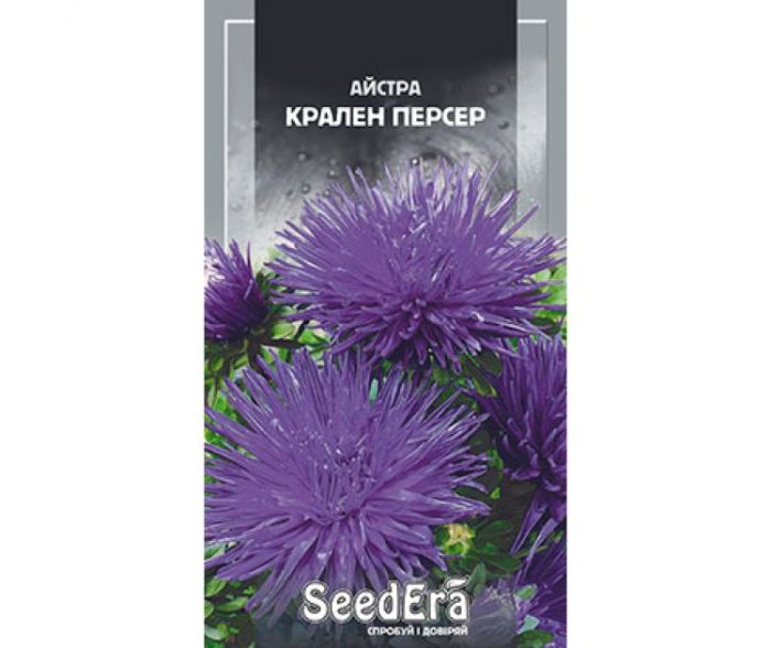 Насіння квітів Айстра Крален Персер