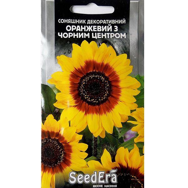 Насіння квітів Соняшник декоративний оранжевий з чорним центром
