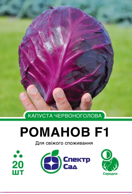 Насіння капусти червоноголової Романов F1