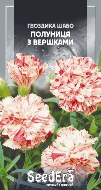 Насіння квітів Гвоздика Шабо Полуниця з вершками