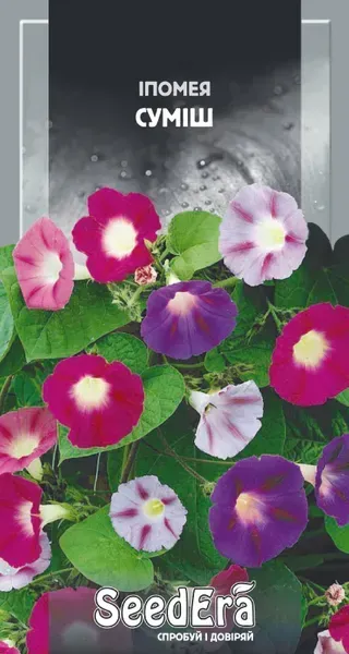 Насіння квітів Іпомея