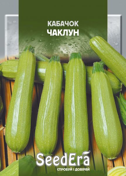 Насіння кущового кабачка Чаклун