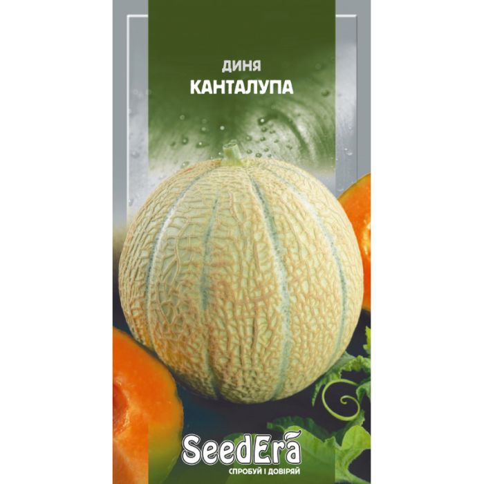 Канталупа, насіння дині 