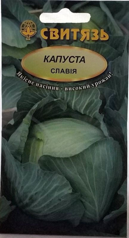 Насіння капусти білокачанної Славія