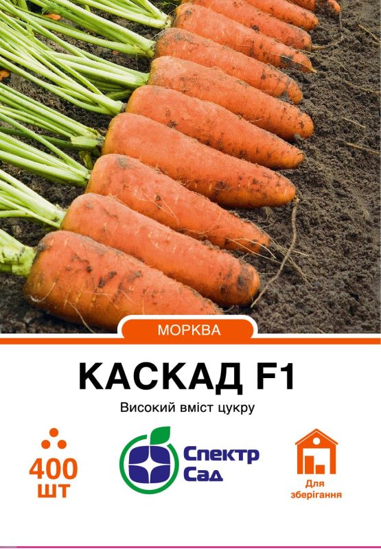 Каскад F1, насіння моркви 