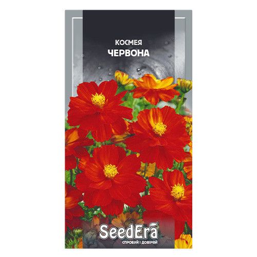 Насіння квітів Космея червона